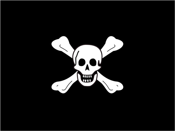 Picture Of Flag Of Pirate Richard Worley