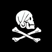 Picture Of Henry Every Flag